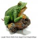 Frog On Wood Medium